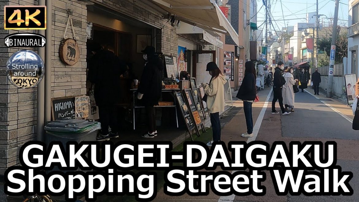 GAKUGEI-DAIGAKU Shopping Street Walking Tour - 4K Tokyo Japan
