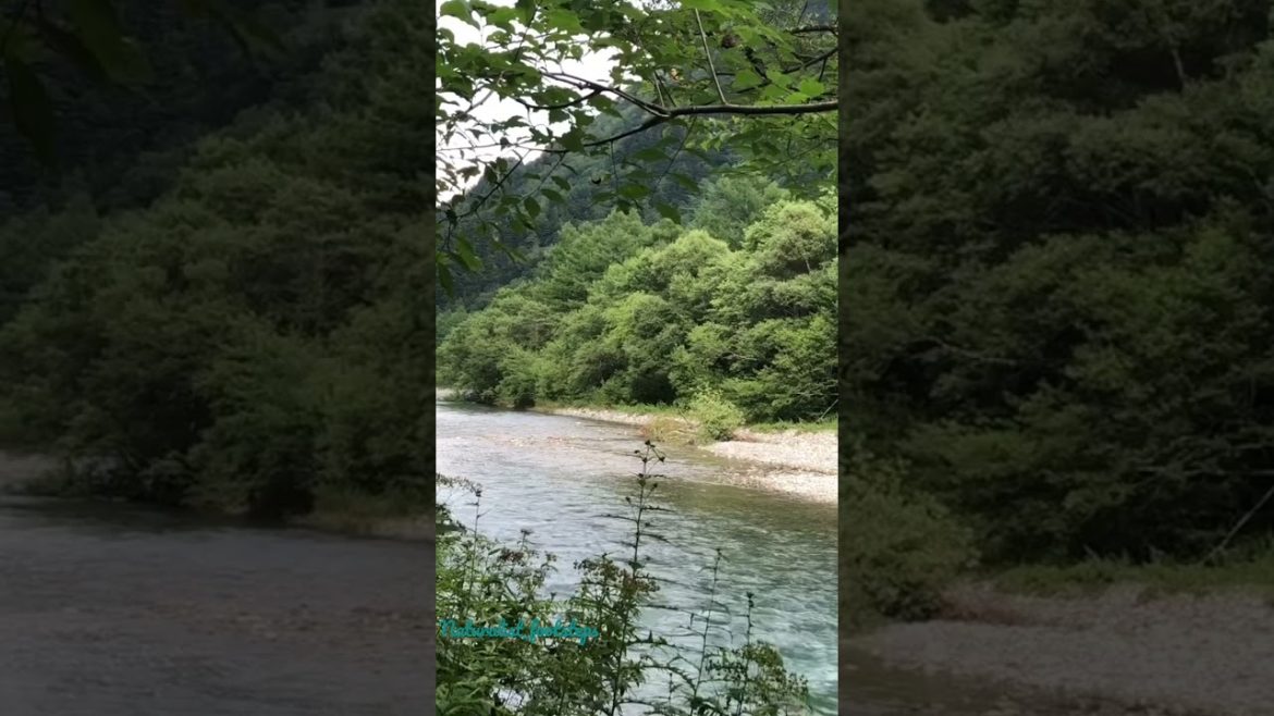 Kamikochi Japan|Places to visit #kamikochi #japan #thingstodo #placestovisit #summervacation #nagano