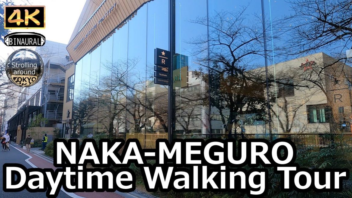 NAKA-MEGURO Walking Tour - 4K Tokyo Japan