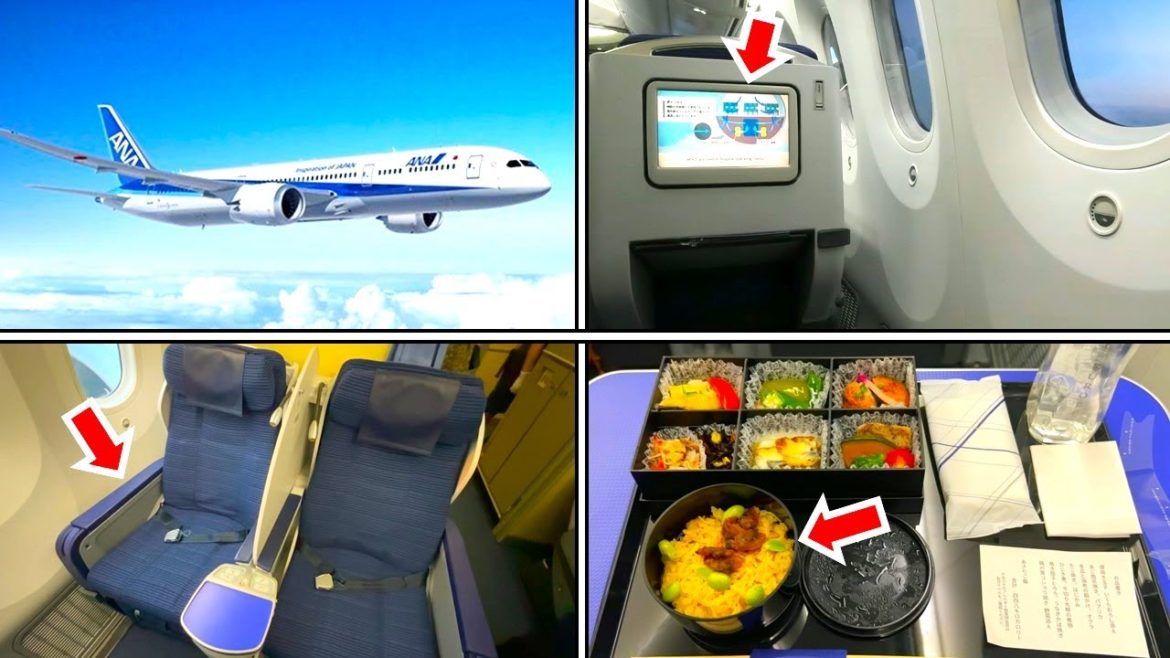 ANA国内線プレミアムクラス🛫大阪伊丹空港→東京の搭乗記🛬|ANA Airlines Domestic First Class(Premium Class), Osaka Airport, Japan ANA国内線プレミアムクラス🛫大阪伊丹空港→東京の搭乗記🛬|ANA Airlines Domestic First Class(Premium Class), Osaka Airport, Japan