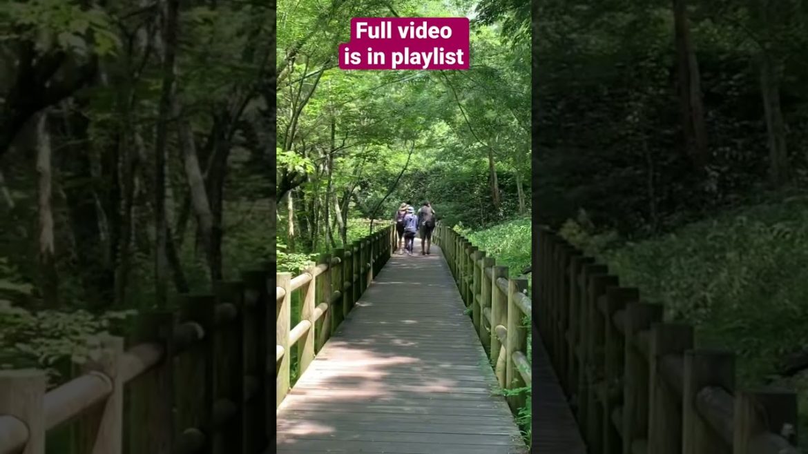 Hiking at Kamikouchi Japan