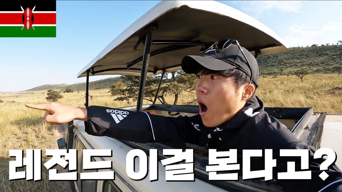 유맥주 사자 밥 될 뻔 한날.. 케냐 마사이마라 사파리투어 - 세계여행(28) 🇰🇪