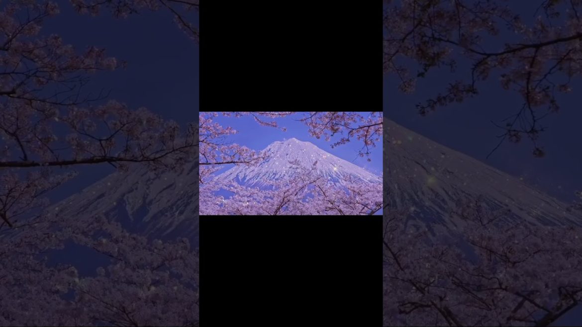 World most beautiful places – Cherry blossom with Mount Fuji, Fuji Five Lakes ,Yamanashi Japan World most beautiful places - Cherry blossom with Mount Fuji, Fuji Five Lakes ,Yamanashi Japan