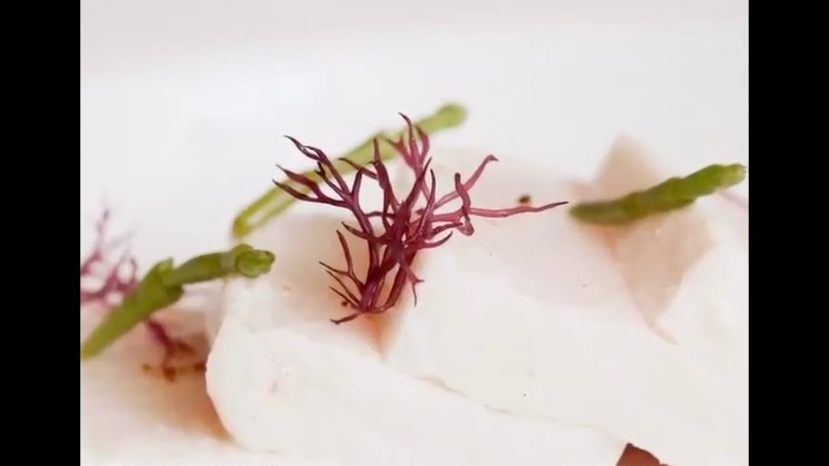 The Best Seafood Restaurants | Travel + Leisure The Best Seafood Restaurants | Travel + Leisure