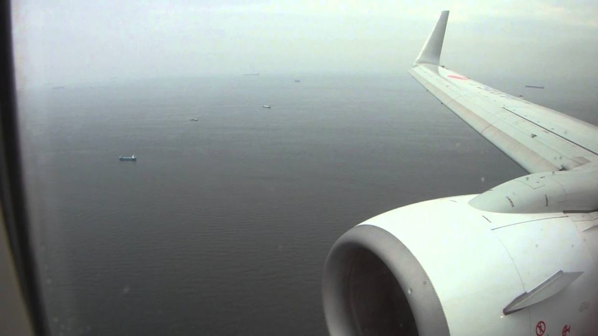 Japan Airlines Boeing 737 800 Landing HND Haneda airport