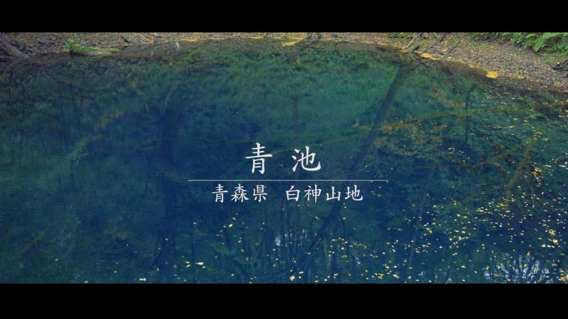 【青森】世界遺産「青池」の絶景／World Heritage Site ”Alike(Blue Pond)”（Aomori, Japan）