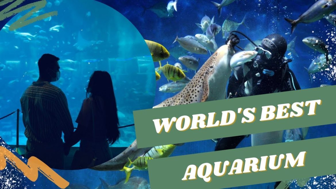 SEA Aquarium Singapore | Resort World Sentosa | Full Walking Tour 2021 (4K)
