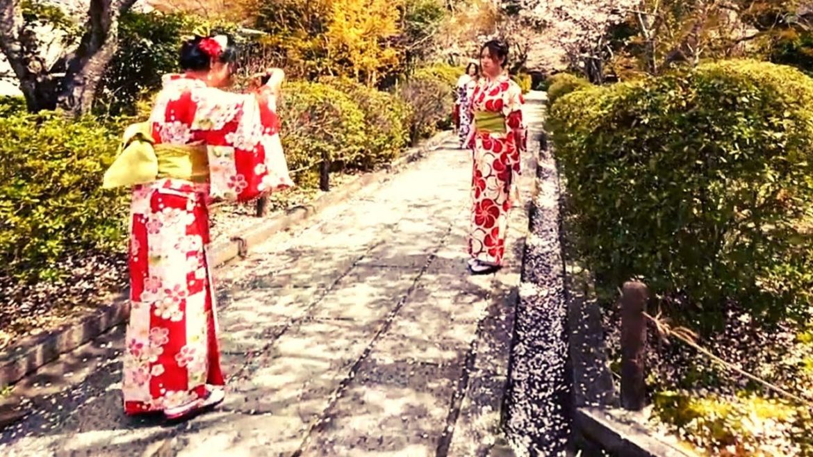 Kyoto Walk ||  Let's Explore Kyoto in 1 Minute || Part 10 ||  #shorts