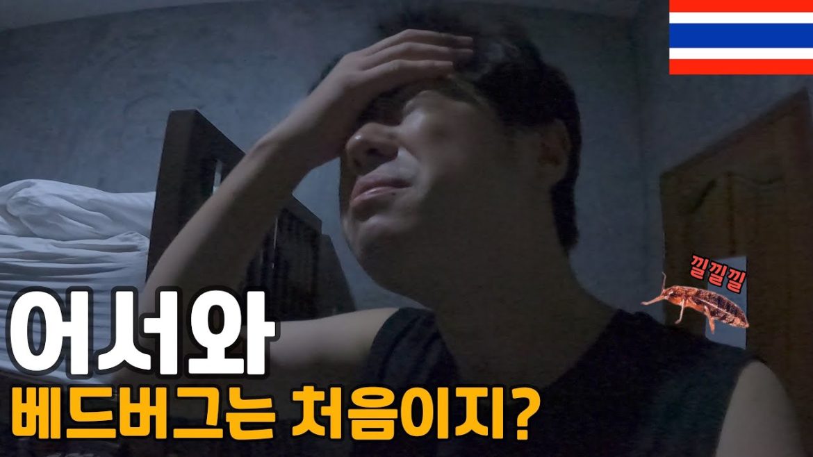 태국에서 베드버그를 만날 줄이야.. -세계여행(19)