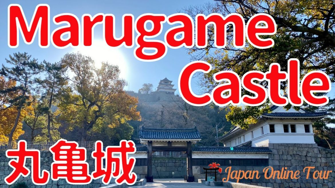 Marugame Castle Walking【Japan Online Tour】| 丸亀城ウォーキングツアー Marugame Castle Walking【Japan Online Tour】| 丸亀城ウォーキングツアー