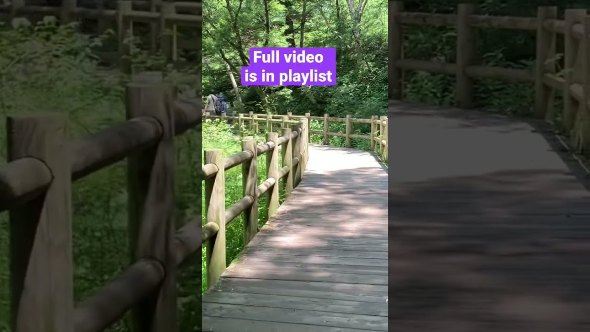 जापान की सुंदर वादियाँ