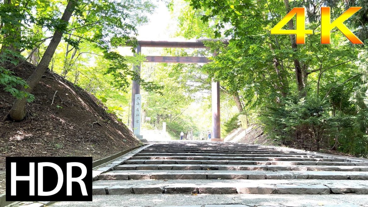 【4K HDR】Sapporo Maruyama Park〜Hokkaido Shrine noon walk｜2022