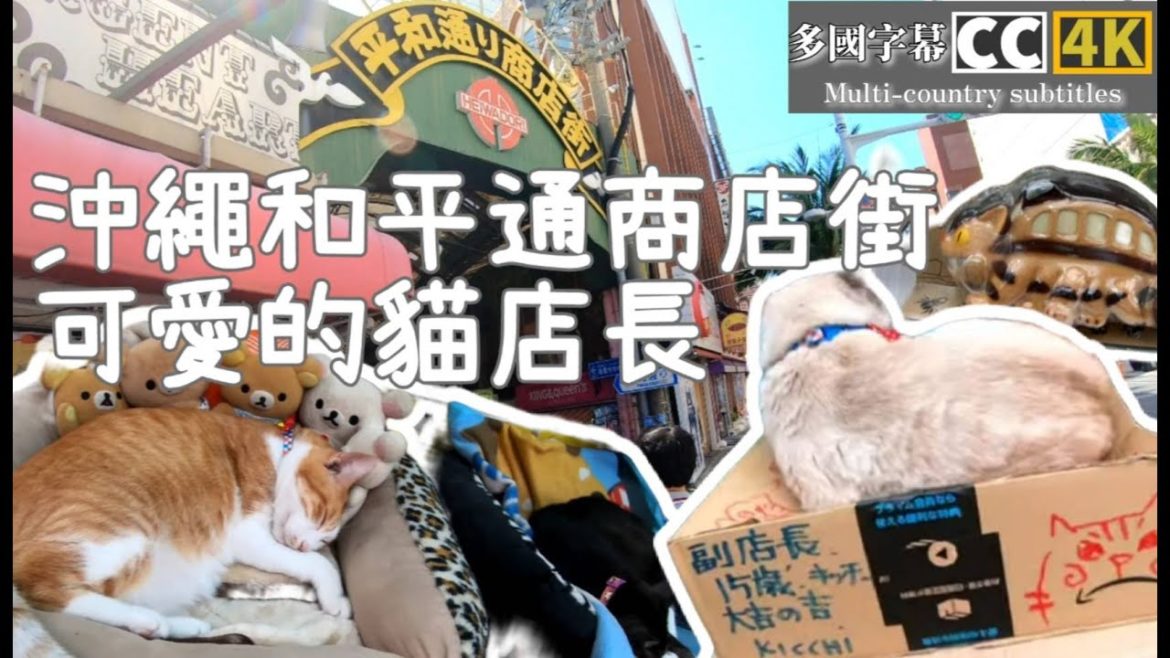 日本Okinawa國際通和平通商店街,市場本通商店街好吃好逛!多國CC字幕 4K畫質Okinawa cute cat manager multi-country CC subtitles 4K 日本Okinawa國際通和平通商店街,市場本通商店街好吃好逛!多國CC字幕 4K畫質Okinawa cute cat manager multi-country CC subtitles 4K