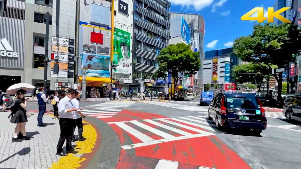 🇯🇵 Tokyo Summer Bike Ride - full video | 2022・4K