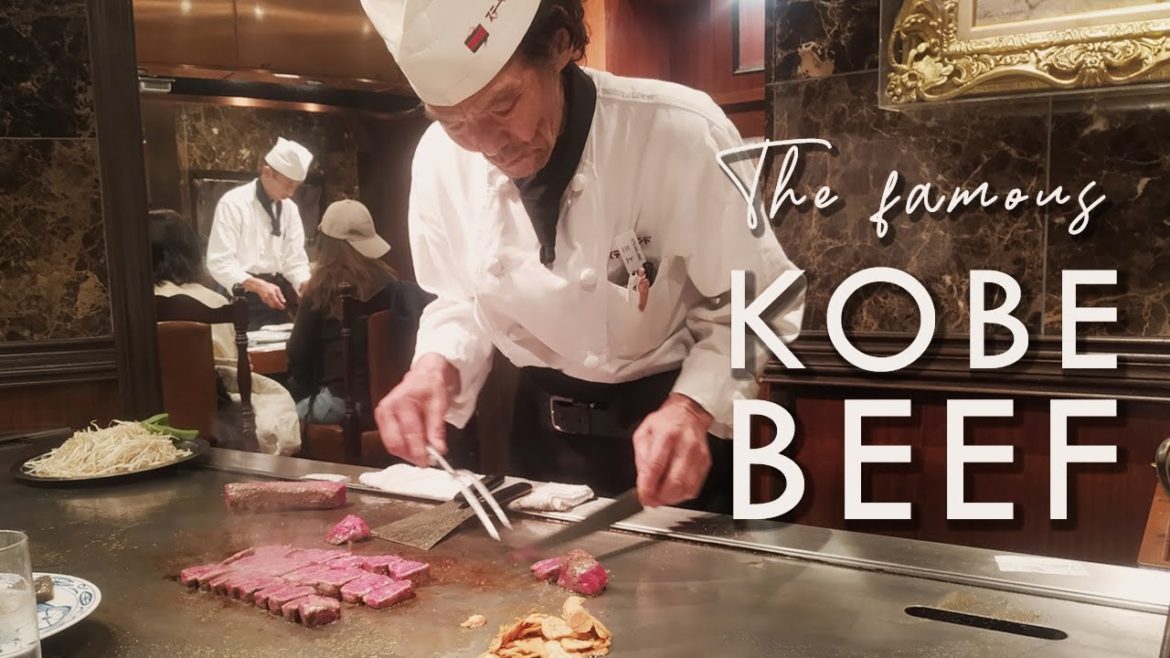 Looking for the famous Kobe Beef #02