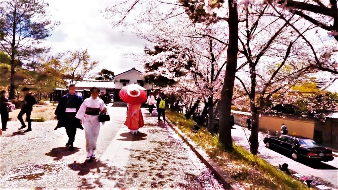 Kyoto Walk ||  Let's Explore Kyoto in 1 Minute || Part 11 ||  #shorts