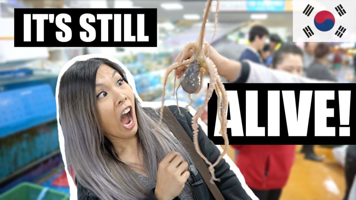 Eating LIVE OCTOPUS like a Korean feat. Aaron & Claire | Noryangjin Fish Market Seoul, South Korea Eating LIVE OCTOPUS like a Korean feat. Aaron & Claire | Noryangjin Fish Market Seoul, South Korea
