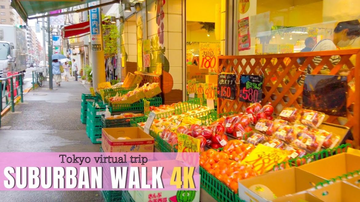 4K Japan Walk – Tokyo Walk in the alleys | Neighborhood Walking Tour in Bunkyo-ku, Tokyo 4K Japan Walk - Tokyo Walk in the alleys | Neighborhood Walking Tour in Bunkyo-ku, Tokyo