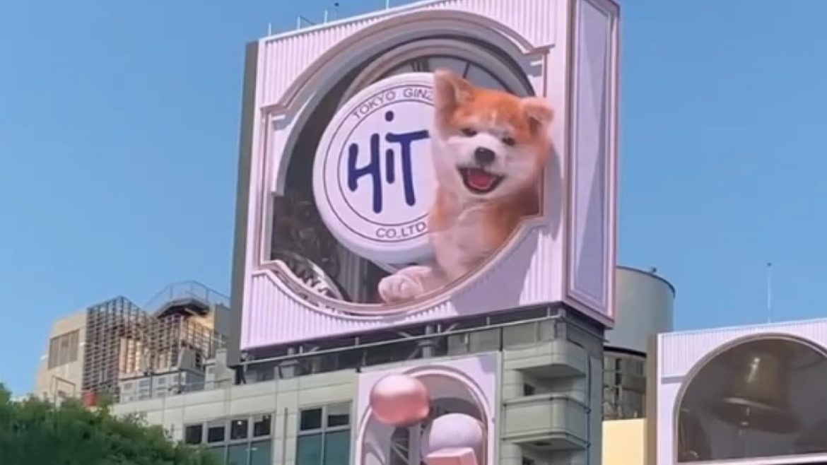Giant 3D Akita Dog at Shibuya Crossing, Tokyo