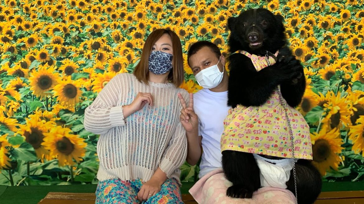 《国際結婚夫婦のvlog》Cudlly Dominion in Aso Kumamoto Japan