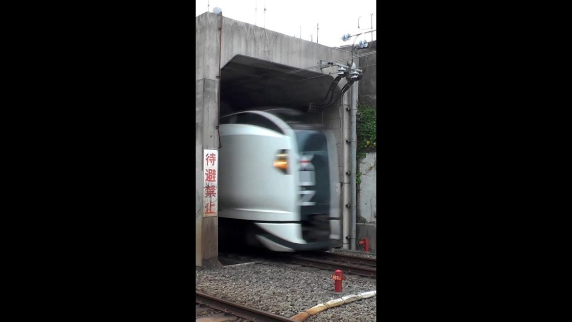 "トンネルから出てきた列車" 東京都品川区 湘南新宿ライン 埼京線 相鉄線直通電車 長者丸踏切を通過する JR E259系成田エクスプレス #shorts "トンネルから出てきた列車" 東京都品川区 湘南新宿ライン 埼京線 相鉄線直通電車 長者丸踏切を通過する JR E259系成田エクスプレス #shorts
