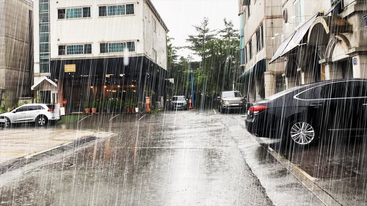 (4K) Walking in Heavy Rain | Rain Sounds for Relaxing Calm Mind and Deep Sleep | South Korea | 폭우빗소리 (4K) Walking in Heavy Rain | Rain Sounds for Relaxing Calm Mind and Deep Sleep | South Korea | 폭우빗소리