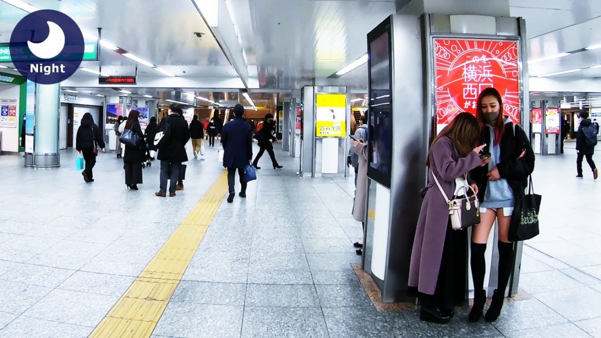 ⁴ᴷ Kanagawa: Yokohama (横浜) - Japan Walking Tour (January 18, 2021)