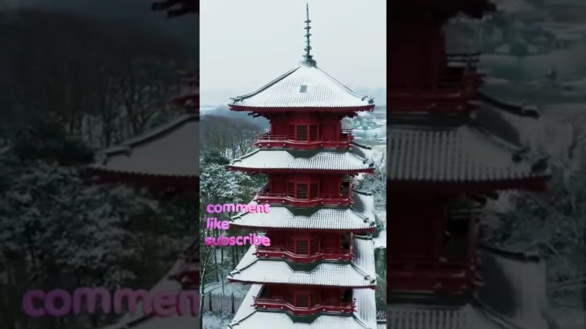 Japan tour #beautiful #nature #travel #short #relax #trending #8k #4k #world #asia #tourism #japan