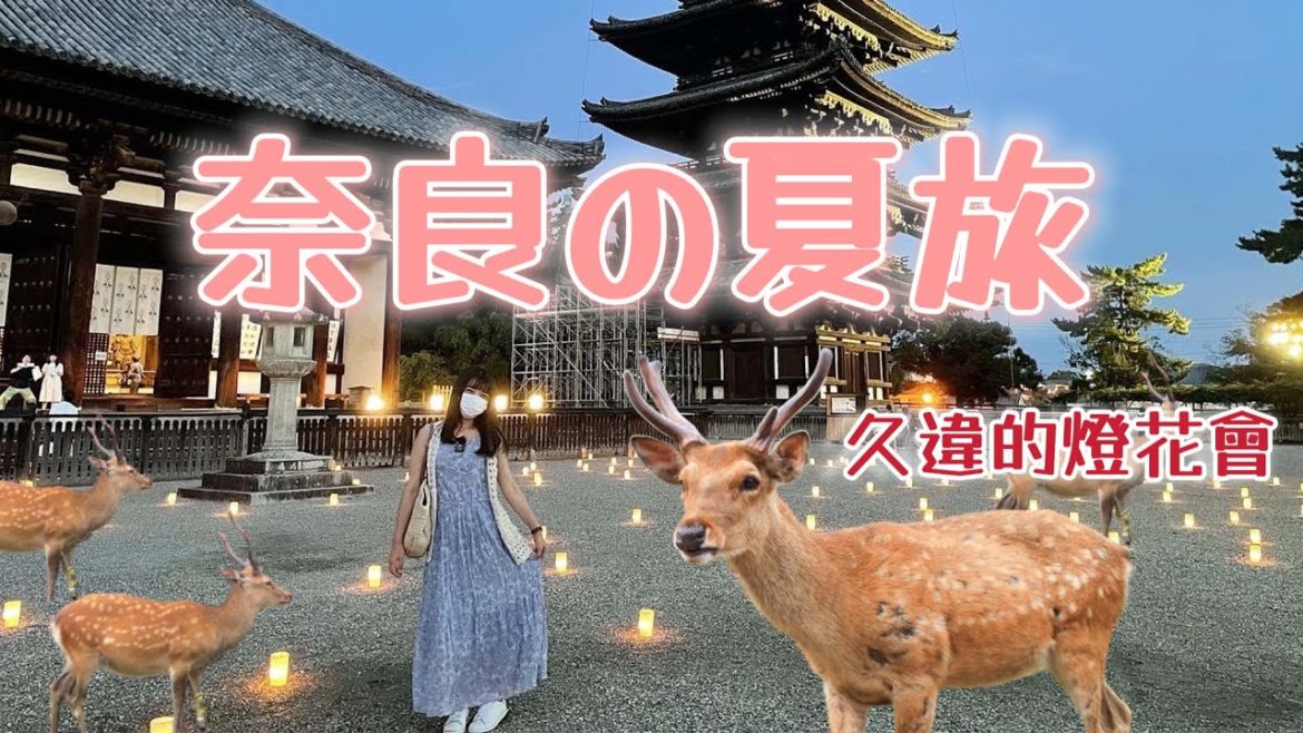 奈良公園・東大寺・燈花會｜小鹿們都瘦成皮包骨吃草！｜睽違三年的奈良祭典｜日本自由行旅遊觀光美食VLOG