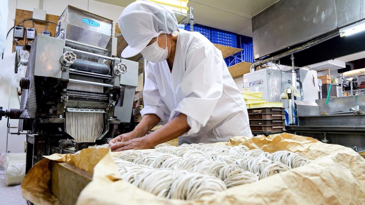 職人技で魅せる怒涛の大量生産! 早朝4時から始まる素朴なうどんそば製麺所食堂の1日丨Japanese Noodles Udon Soba 職人技で魅せる怒涛の大量生産! 早朝4時から始まる素朴なうどんそば製麺所食堂の1日丨Japanese Noodles Udon Soba