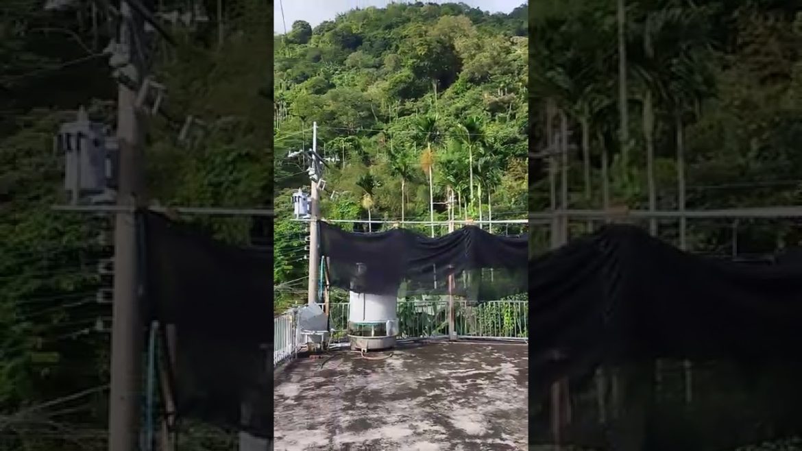 20220718 離開觀音瀑布後,騎到瑞水公路發現「聰田製茶廠」展望台景觀超棒 20220718 離開觀音瀑布後,騎到瑞水公路發現「聰田製茶廠」展望台景觀超棒