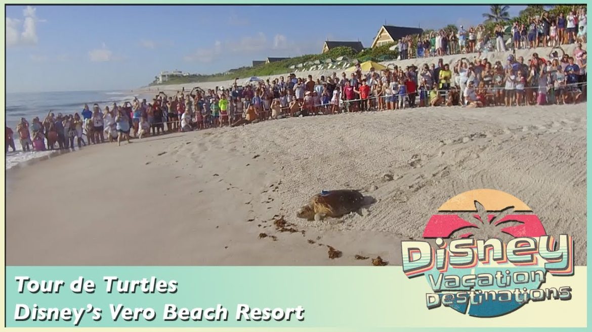 Disney's Vero Beach Resort   Tour de Turtles