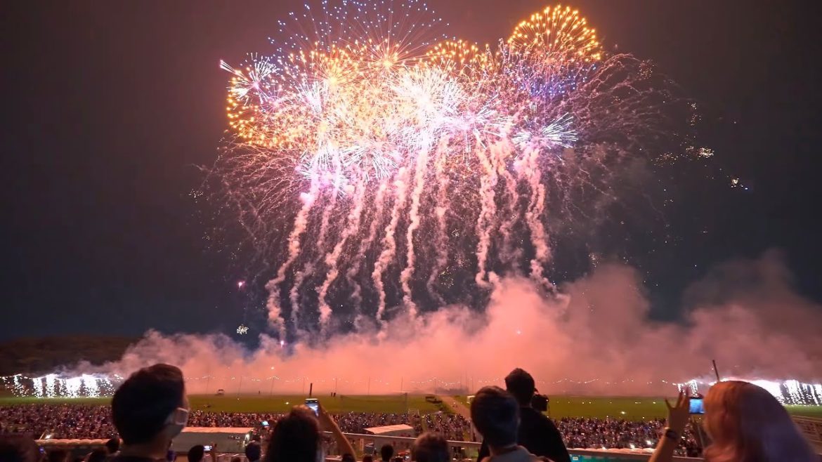 Walking at Ashikaga Hanabi festival 2022・4K HDR Walking at Ashikaga Hanabi festival 2022・4K HDR