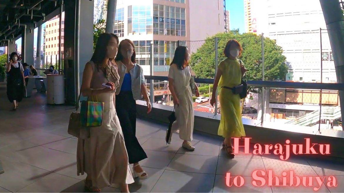 Harajuku to Shibuya Tokoyo, in Japan walking tour【4K ASMR】7.2022 Harajuku to Shibuya Tokoyo, in Japan walking tour【4K ASMR】7.2022