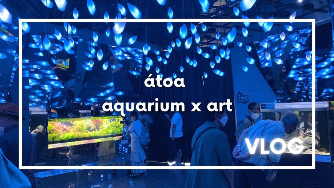 átoa aquarium x art in kobe Japan travel vlog átoa aquarium x art in kobe Japan travel vlog