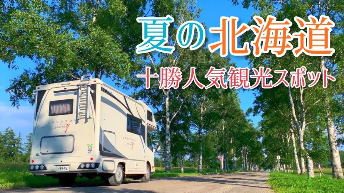【RV travel with cats】富良野RVパーク～十勝人気観光スポット巡り【キャンピングカーで猫と車中泊】