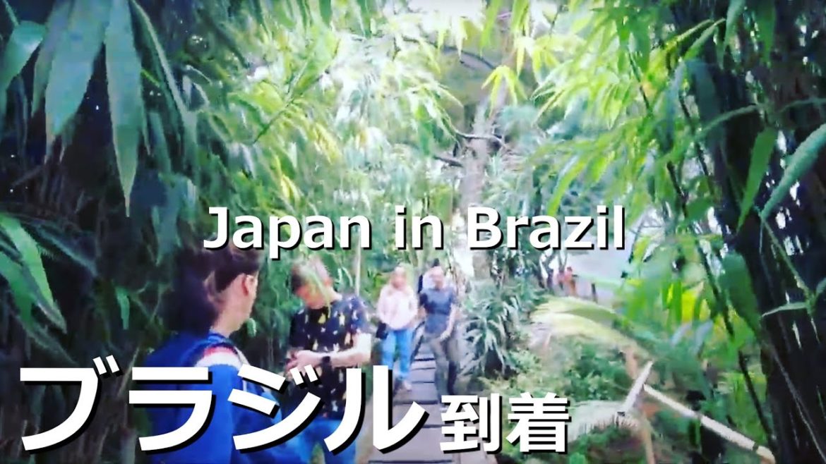 Another Japan In Liberdade, Sao Paulo, Brazil