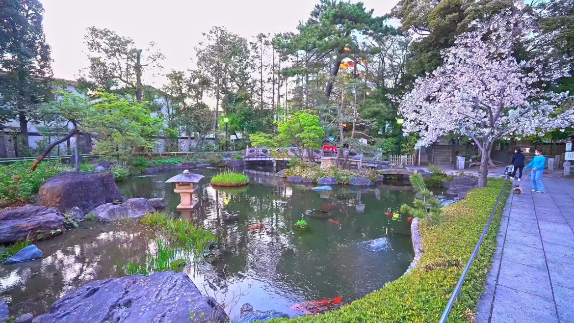Evening Tokyo walk at Nishiarai・4K HDR