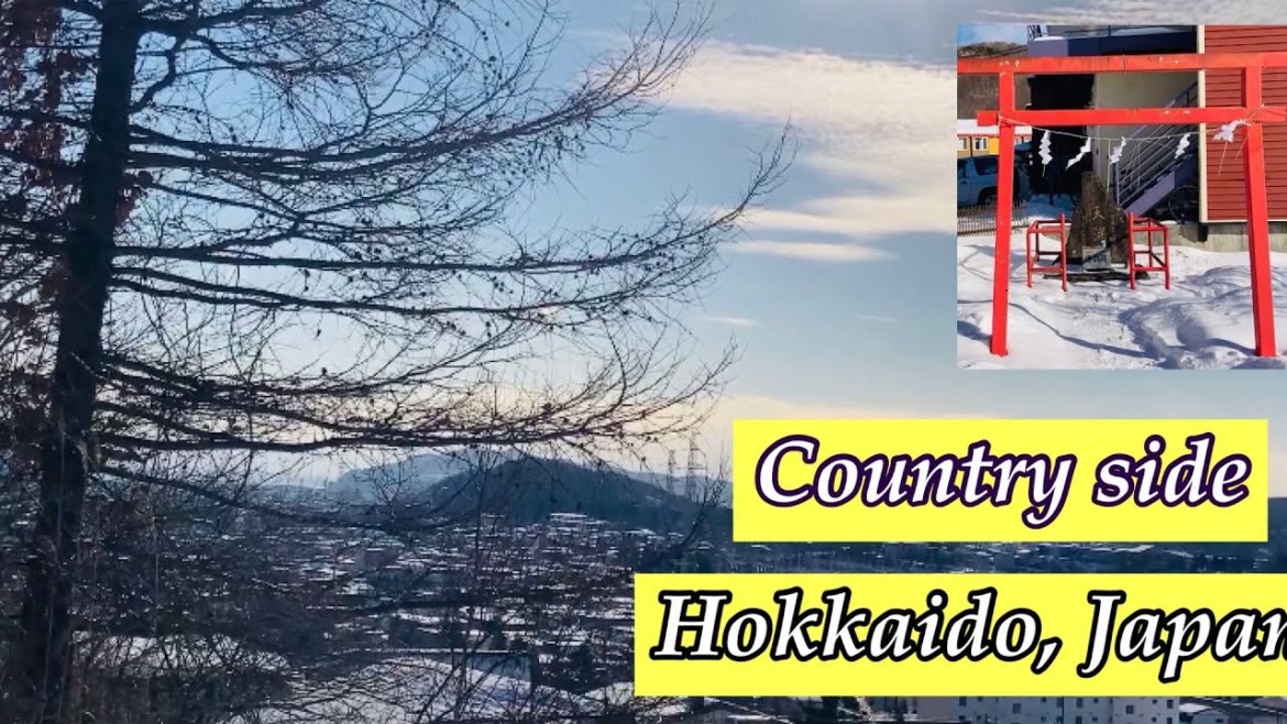 HOW DOES INAKA/田舎country side LOOKS LIKE IN WINTER? HOKKAIDO VLOG/TRAVEL VLOG/JAPAN/INDIAN IN JAPAN