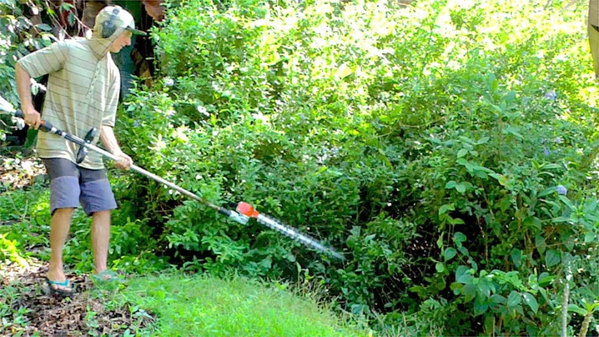 Using a Gas Powered Hedge Trimmer