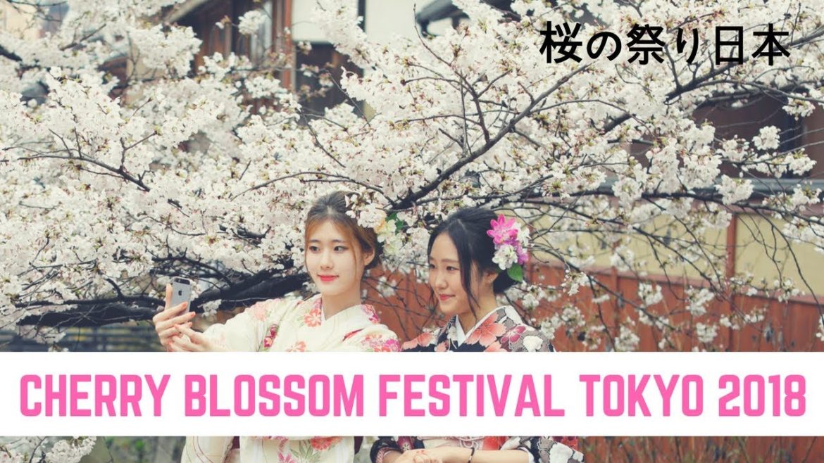 Cherry blossom festival japan 2018 | cherry blossom in japan | nara park japan | 隅田川