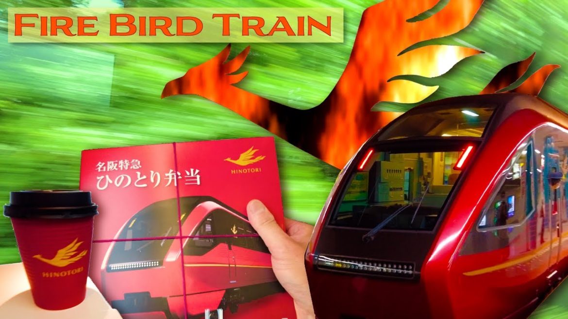 Cheaper Limited Express Train than Japan’s Bullet Train.🥳🚅 2 hours trip from Osaka! 特急ひのとり vlog