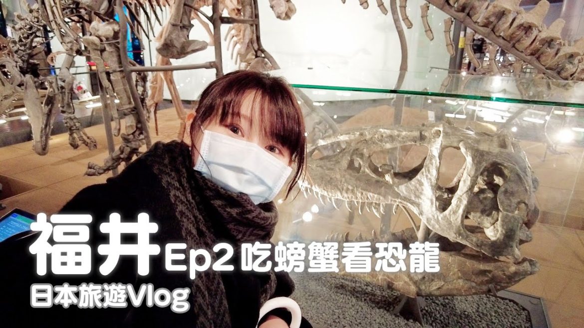 福井Ep2｜福井人好熱情！越前螃蟹丼、震撼恐龍博物館、必買名產羽二重餅｜日本旅遊vlog／Japan travel 2021 Fukui vlog