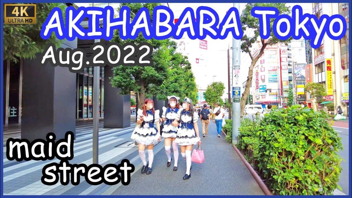 Tokyo walk 4K,Japan Akihabara walking tour 2022 , 秋葉原 散歩