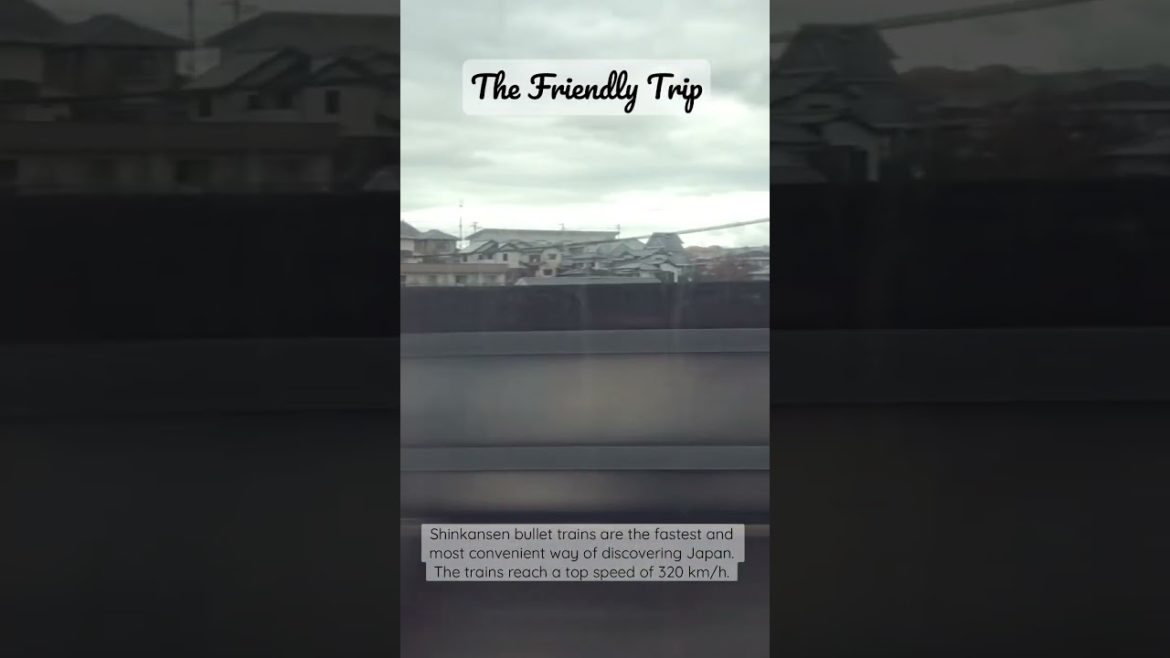 How 260Km/h feels like! #shorts