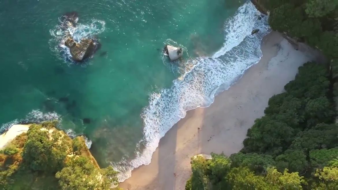 Early morning | Coromandel 2016