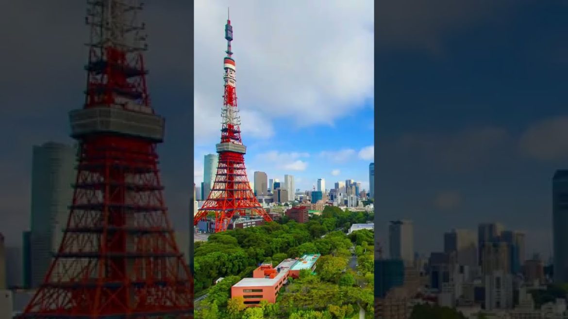 Tokyo, Japan - travel video #shorts