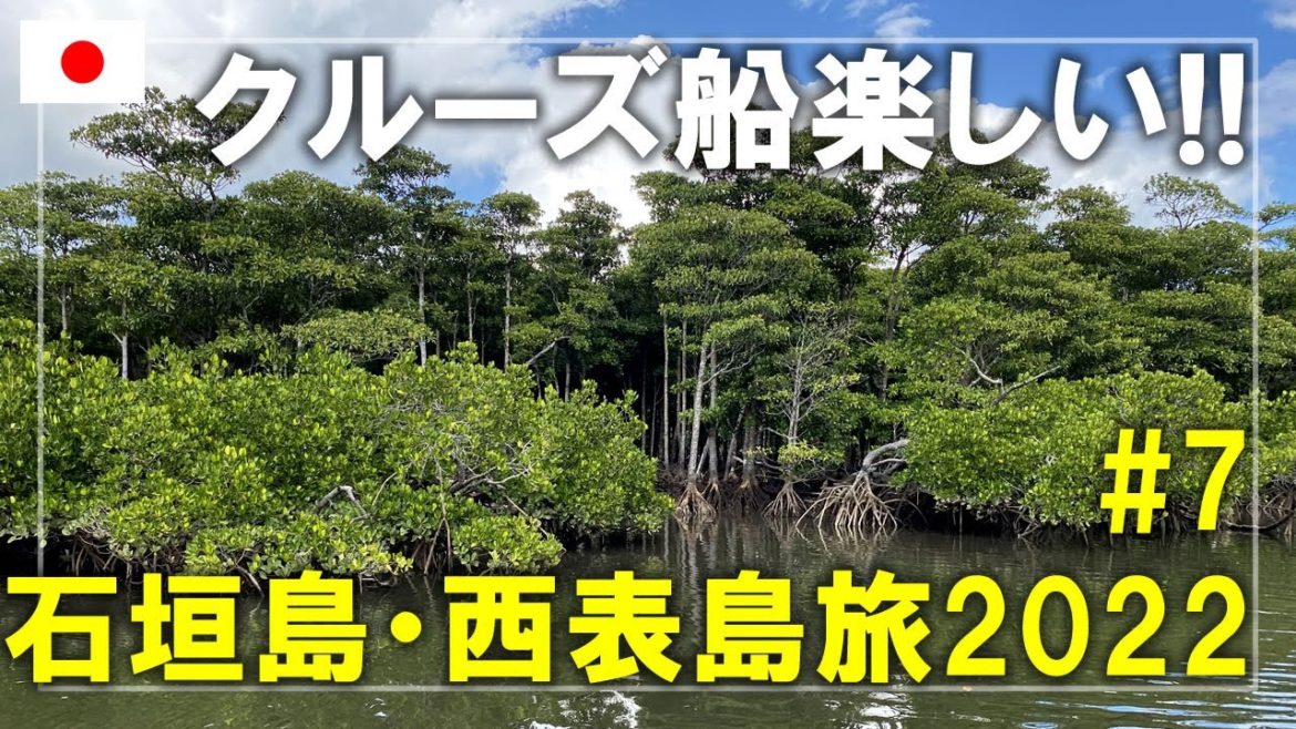 【石垣島・西表島旅】2022#7 仲間川マングローブクルーズ！美しいマングローブの姿をたっぷり紹介します Iriomote Island,Okinawa,Japan Travel