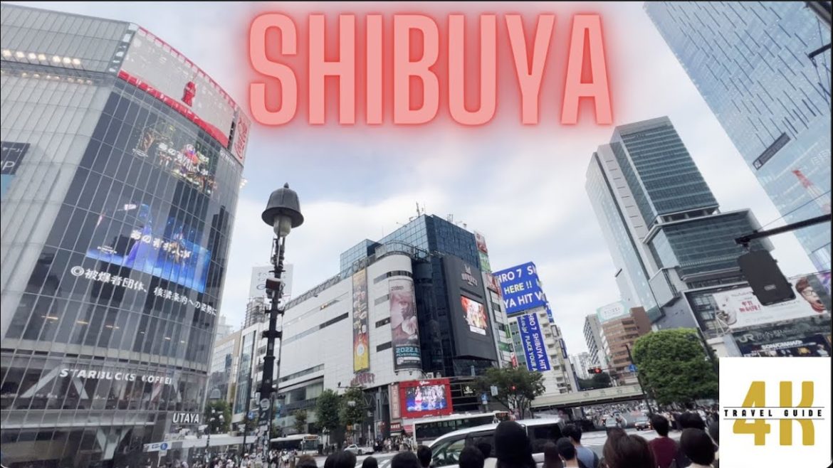 4K Shibuya, highway ride from Nagoya