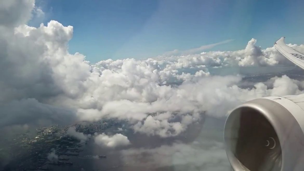 ANA Boeing 787-8 Manila-Narita (Full Flight)